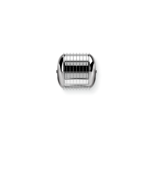 Face Roller | MicroNeedle Head